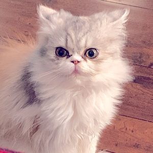 Meet your Posher, Heather